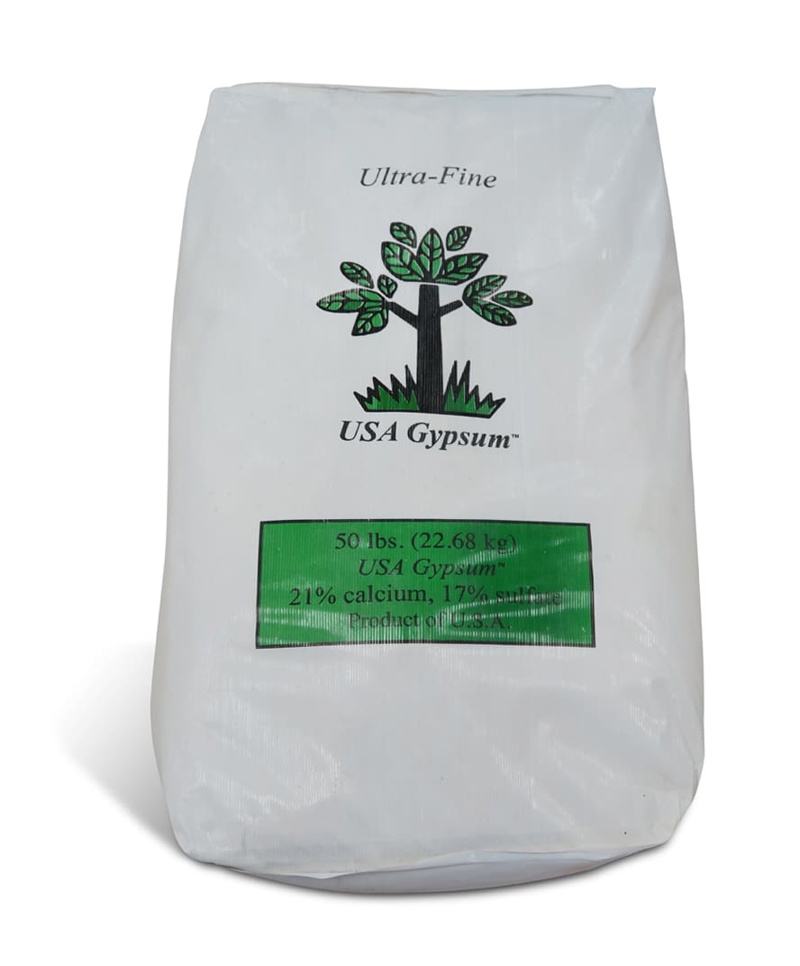 gypsum